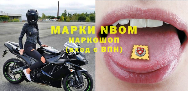 PSILOCYBIN Аркадак