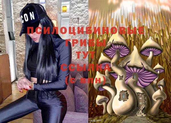 PSILOCYBIN Аркадак
