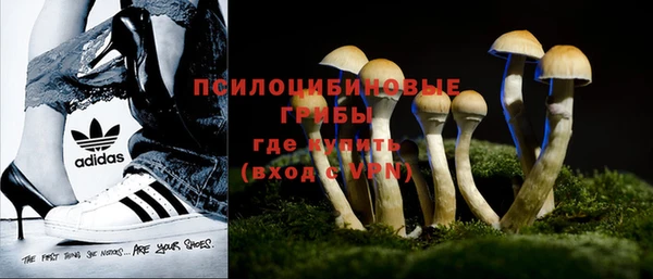 дистиллят марихуана Медногорск